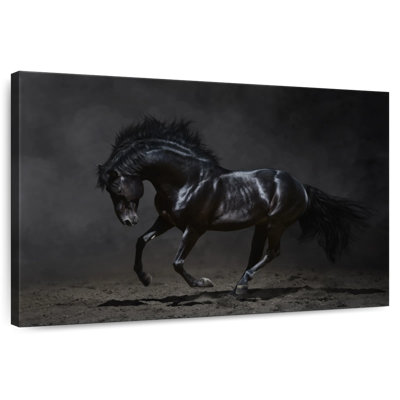 Cheval noir brillant Brampt