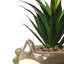 18cm Faux Plant in Ceramic Pot