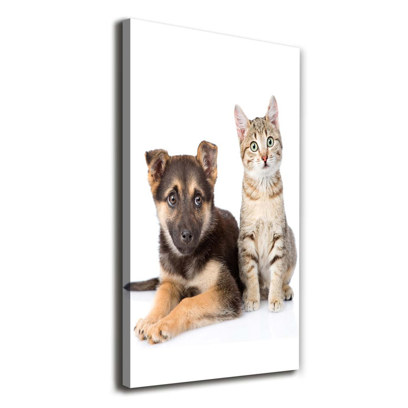 Dog And Cat - Wrapped Canvas Print