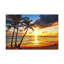 No Frame Print on Canvas-1300187182