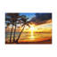 Wall Art on Canvas-1300187169