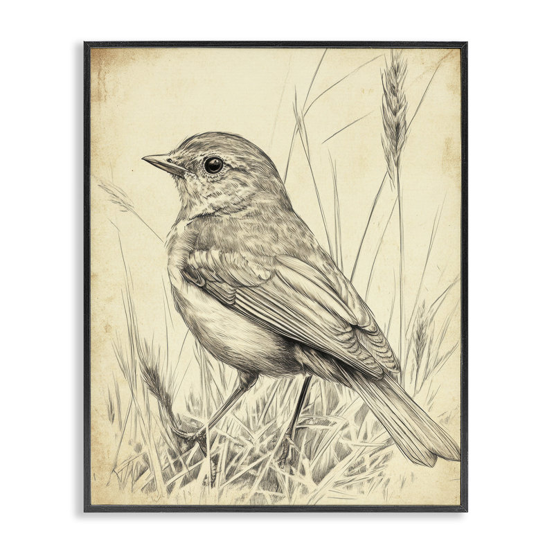 Giclée encadrée de petits oiseaux rétro, design par Petal Prints Design, H 14 po x l 11 po, Giclée encadrée noir minuit
