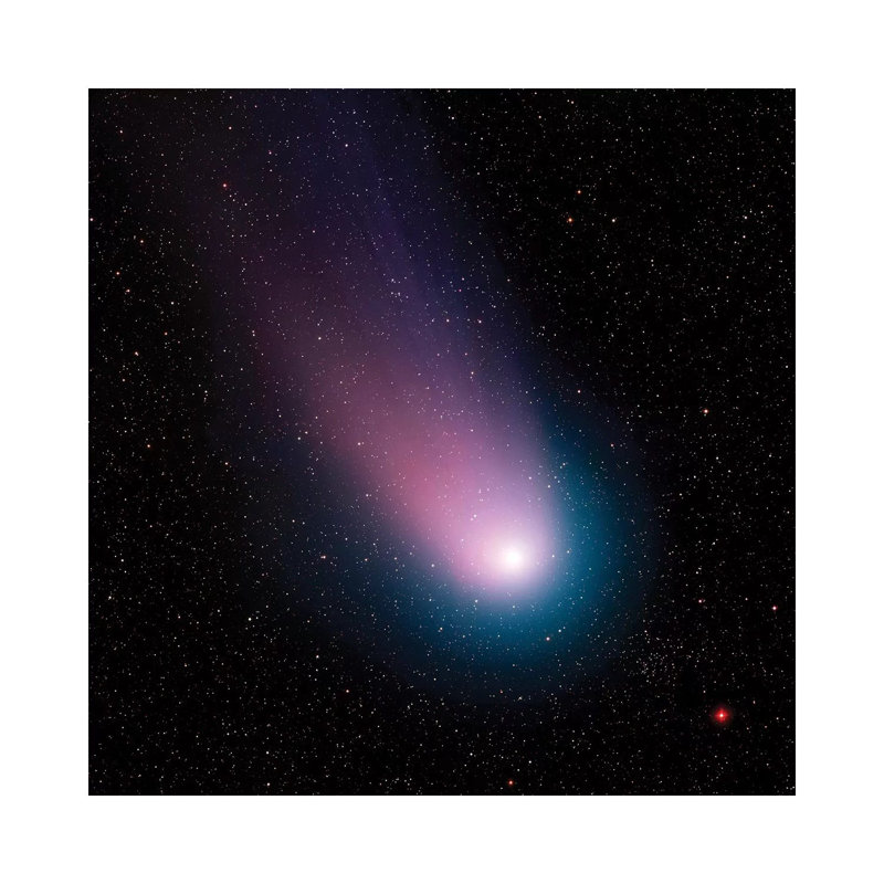 Image Of Comet C/2001 Q4 (Neat) by Stocktrek Images - Wrapped Canvas Gallery-Wrapped Canvas Giclée, 93.98 cm H  x 93.98 cm W