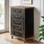 Armoire noire luxueuse de style américain