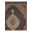 Oriental Area Rug in Brown