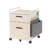 Ziolkowski 2-Drawer Mobile Vertical Filing Cabinet-109048967
