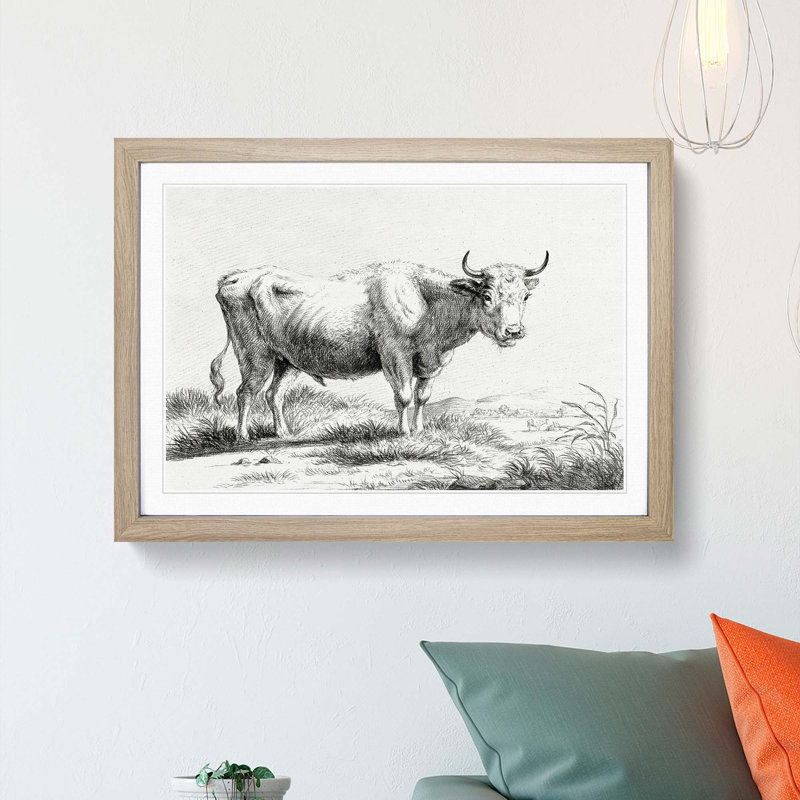 Curious Cow by Jean Bernard - Picture Frame Drawing Print, 36cm H x 48cm W x 2cm D, Oak Framed