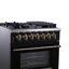 Massimo 30 in. Dual Fuel Range-116499866