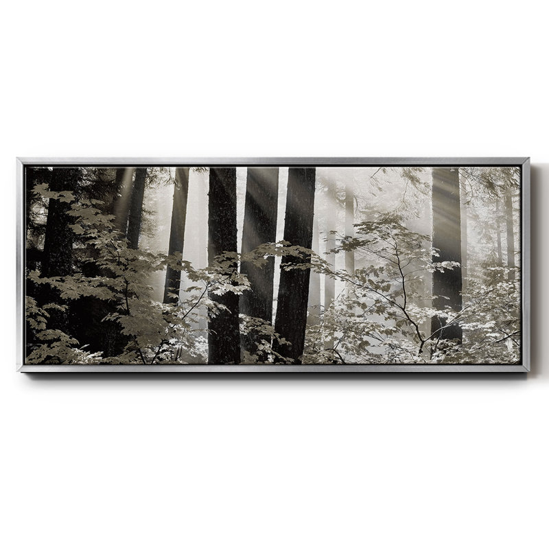 Misty Forest - toile encadrée, H 20 po x l 50 po
