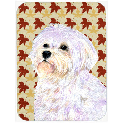 East Urban Home Maltese Portrait Glass Cutting Board