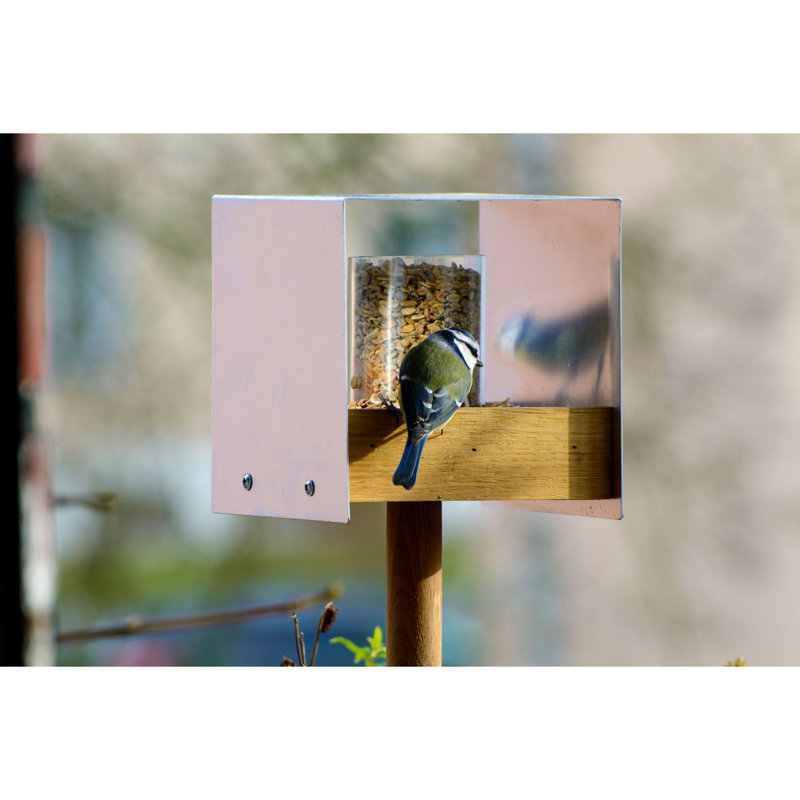 Demson Wood Pole Tray Bird Feeder