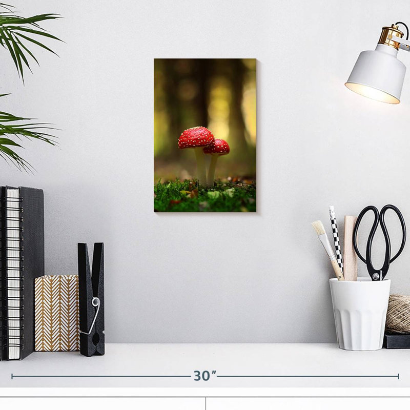 Champignon rouge et blanc, H 12 po x l 8 po