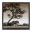 Elephant & Curved Desert Tree-1817760801-1817760806