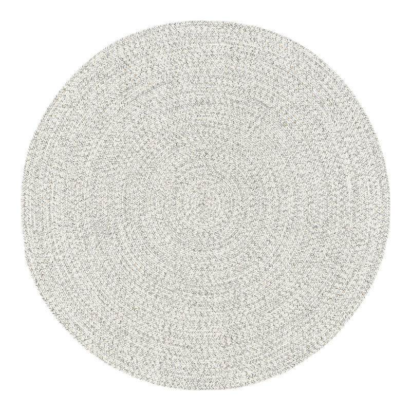 Ebern Designs Luchezar Handmade Braided Ivory Indoor/Outdoor Rug ...