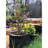 Hydrofarm Growing Kit Fruits / Vegetables