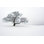 Chêne d'hiver dans la neige par Vandervelden