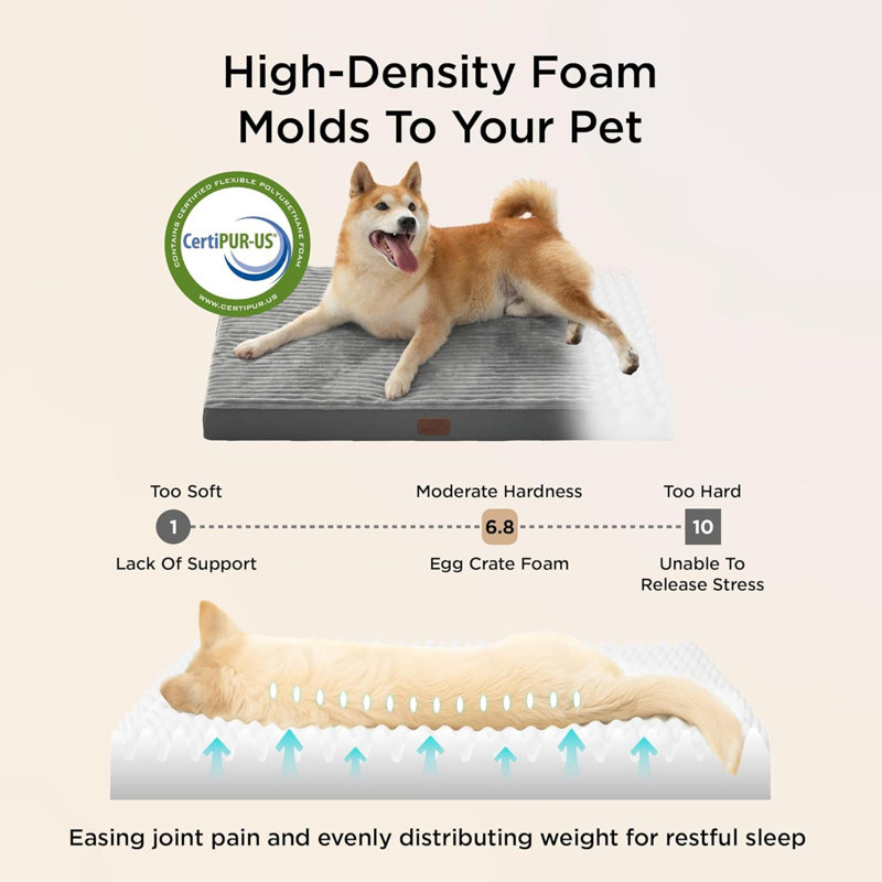 Pet Bed
