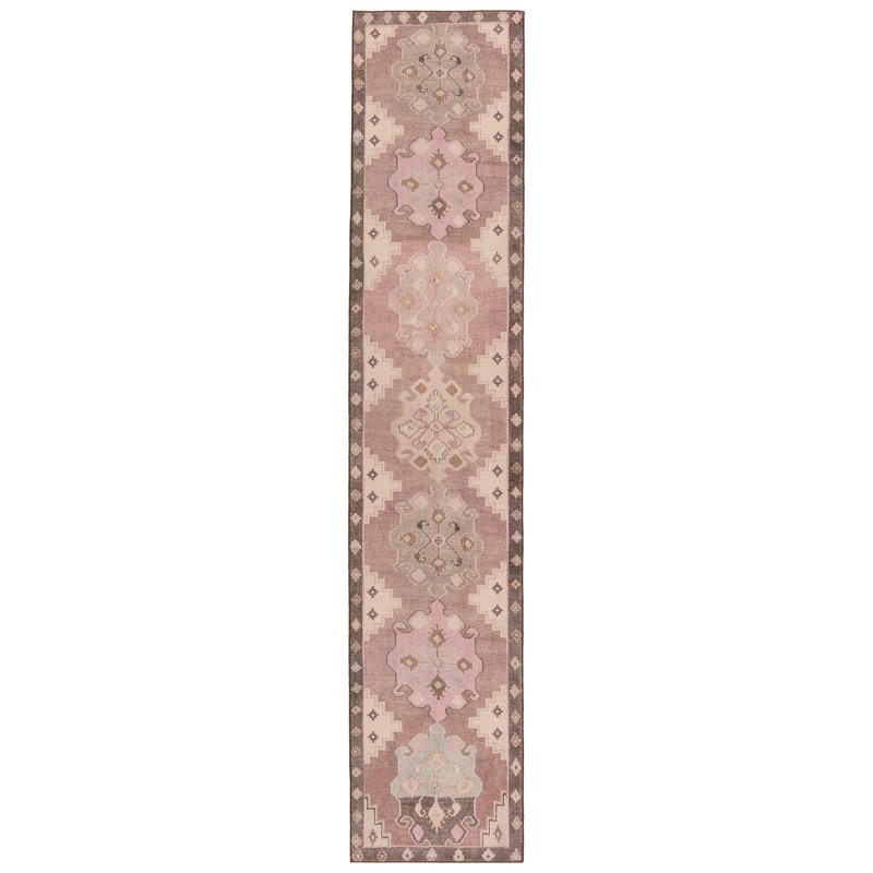 Asuncin Polyester Machine Washable Performance Rug, Runner 2'6" x 12'