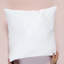 Lumbar Pillow Insert
