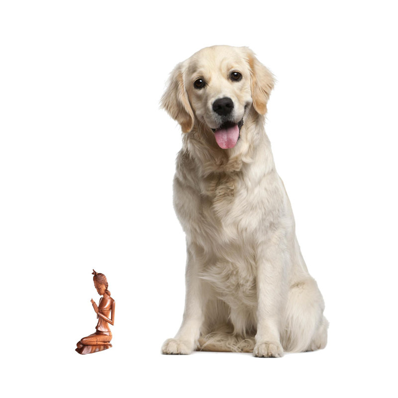 Figurine en bois prayer Critch