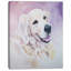 « drôle golden retriever », reproduction d’art sur toile tendue-33311326-19407848