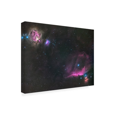Bolog Andrea Auf Dem Orion Nebula And The Horsehead Canvas Art