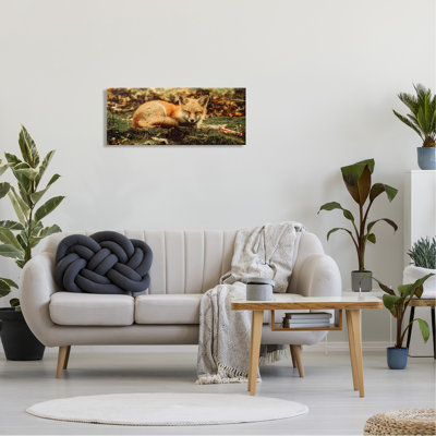 «Sleeping Fox Kit Peaceful Forest Floor Lush Nature» par Carrie Ann Grippo-Pike - photographie sur toile tendue