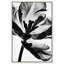 Close Up Silhouette Print by Oliver Gal-1058771473-1058771476