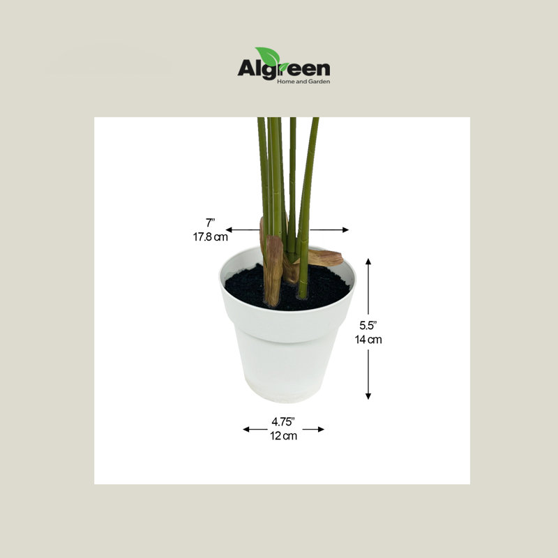 Algreen 55" Faux Paradise Palm in White Decorative Planter