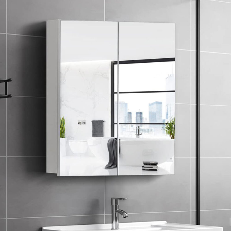 Karynna W 600mm H Surface Framed Medicine Cabinet Mirror 2 Adjustable