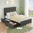 Apolo Upholstered Platform Storage Bed