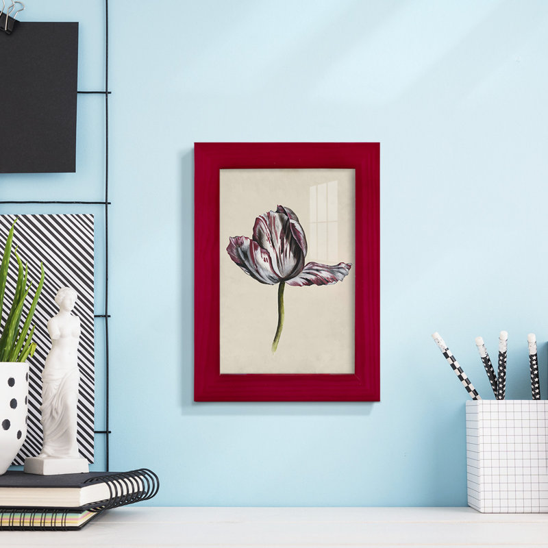 Antique Tulip Study II - impression d'un seul cadre, Rouge, H 6 po x l 4 po x P 1 po