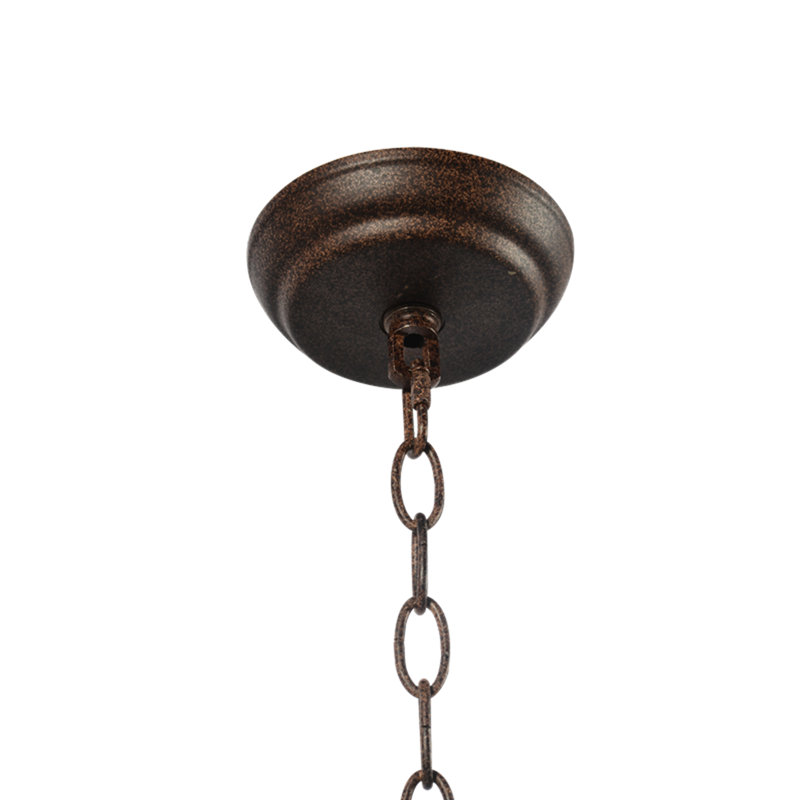Keeney 6 - Light Wrought Iron Globe Chandelier