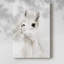 Sweet Llama II -Gallery Wrapped Cavas-973779587