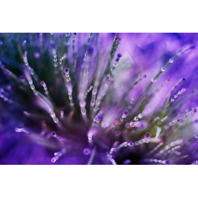 Abstract Nature Background 1 Piece Wrapped Canvas Wall Art