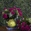 Buisson de géranium artificiel 17,5 "en polyester-913431849
