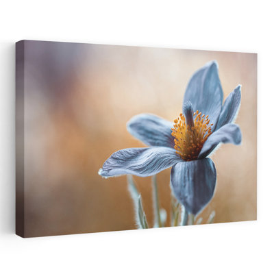 Art contemporain Art floral contemporain