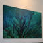Sylvia Cook - No Frame Print on Canvas-16099914