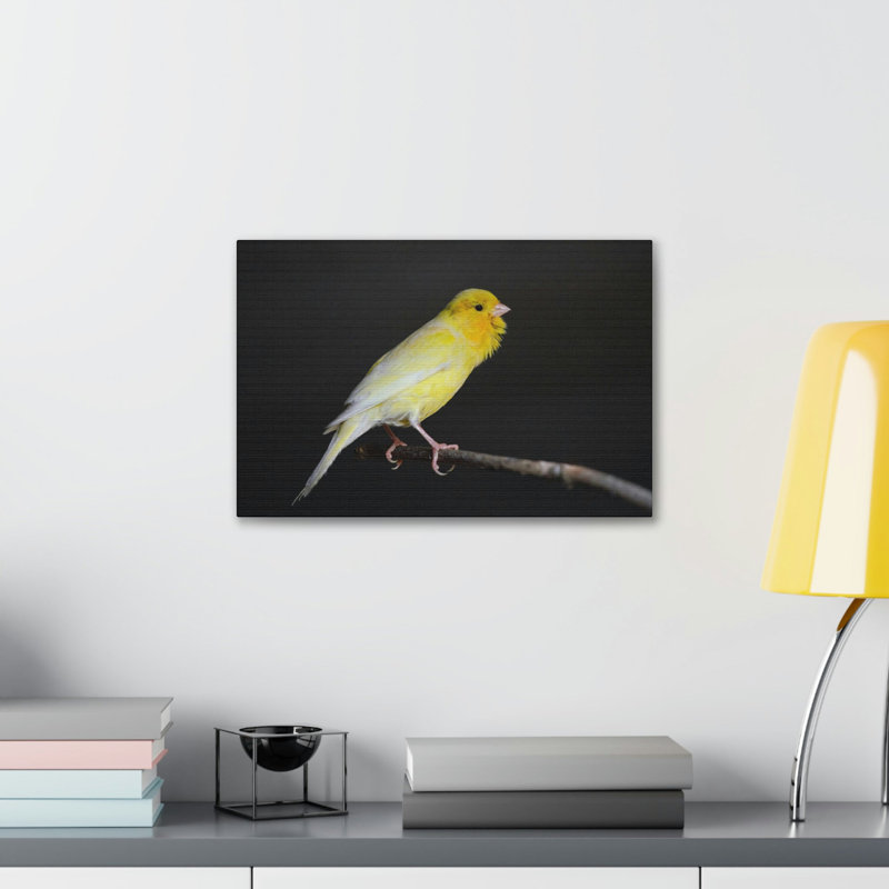 No Frame Print on Canvas, 30.48cm H x 40.64cm W