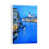 White Floater Frame