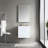 Fahriye 23.56'' Single Bathroom Vanity with Acrylic Top with Mirror-2004591631