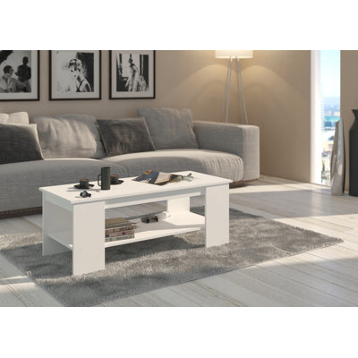 Romed Coffee Table with Storage