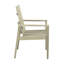 Ashland Patio Dining Armchair with Cushions-765605461-750875538-749763211