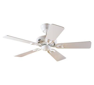 Quiana 107cm Ceiling Fan