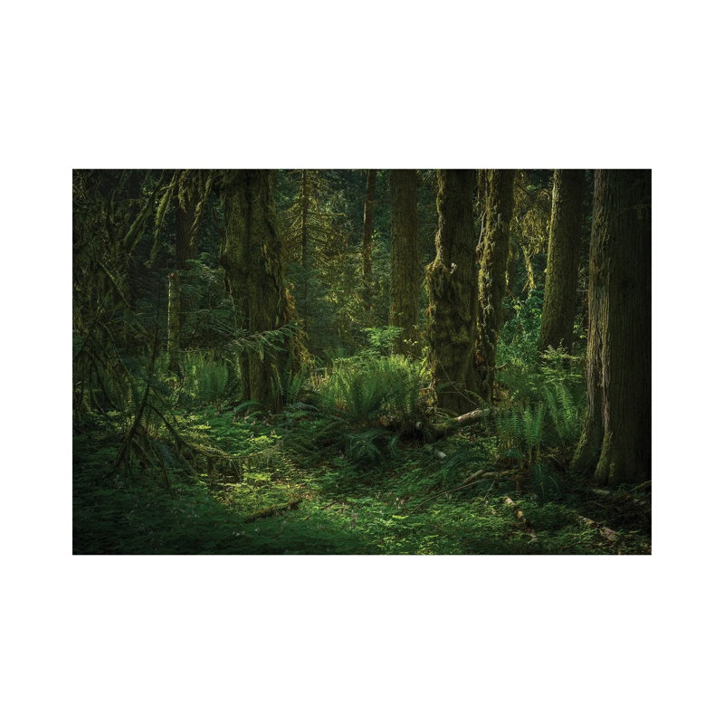 Feel the Sun’S Blessing 1 Piece Wrapped Canvas Wall Art, 66.04cm H x 101.6cm W x 1.91cm D