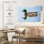 Canard colvert Brampt flottant-107856032
