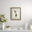 Golden Crested Kinglet Print