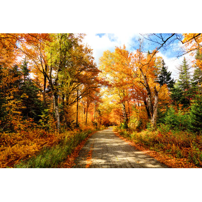 Autumn Road In New Hampshire by DenisTangneyJr - Wrapped Canvas Print