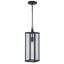 Lanterne suspendue d'extérieur 1 lumière Iddings-1267815990