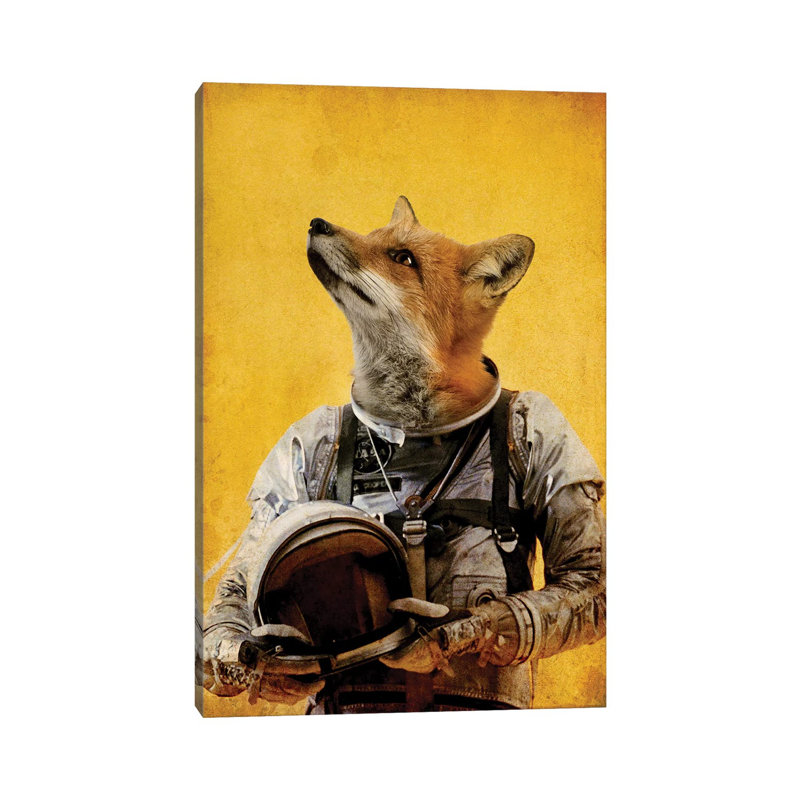 Renard de l'espace, H 12 po x l 8 po x P 0,75 po
